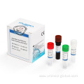 RT-PCR nucleic acid detection reagent kit